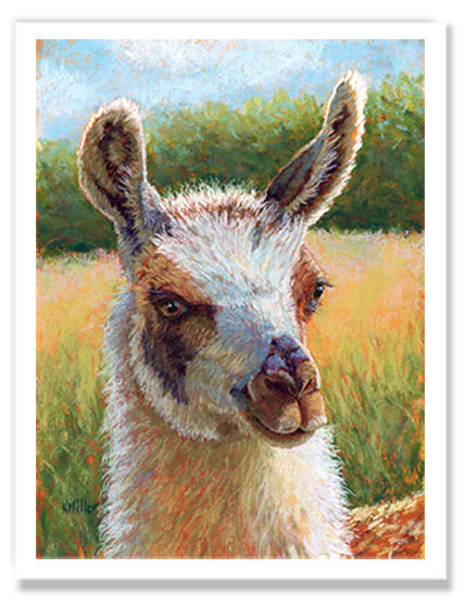 Pastel portrait print of alpaca on a sunny day. Rendered in a contemporary style using bold strokes and bright colors by award winning artist Kathie Miller.