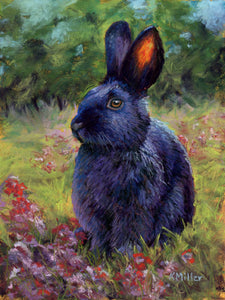 Adrian-Black Rabbit Original Pastel 6" x 8"