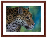Jaguar portrait with mahogany frame by award winning artist Kathie Miller.