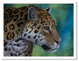 Jaguar portrait by award winning artist Kathie Miller.