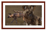 African Wild Dogs painting with mohogany frame  by award winning artist Kathie Miller