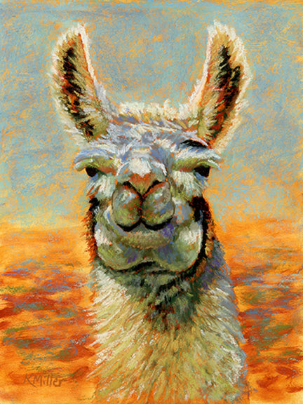 Original pastel portrait of an alpaca in the bright sun by award winning artist Kathie Miller. Contemporary style using bold strokes and bright colors. Prints available.