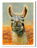 Pastel portrait of an alpaca in the bright sun. Rendered in a  contemporary style using bold strokes and bright colors by award winning artist Kathie Miller.
