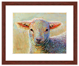 Pastel portrait of a lamb with a mahogany frame and white mat. Rendered in a contemporary style using bold strokes and bright colors by award winning artist Kathie Miller. 