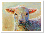 Pastel portrait of a lamb in the bright sun. Rendered in a  contemporary style using bold strokes and bright colors by award winning artist Kathie Miller.