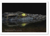 American Alligator painting by award winning artist Kathie Miller.