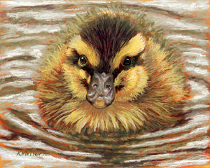 Original 10” x 8” pastel portrait of a fuzzy duckling in the water by award winning artist Kathie Miller. Contemporary style using bold strokes and bright colors. Prints available.