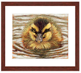 Pastel portrait print of a a fuzzy duckling on the water with a mahogany frame and white mat. Rendered in a contemporary style using bold strokes and bright colors by award winning artist Kathie Miller. 