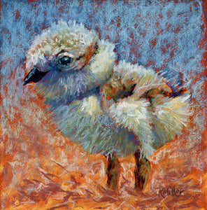 Original pastel portrait of plover chick in the bright sun by award winning artist Kathie Miller. Contemporary style using bold strokes and bright colors. Prints available.