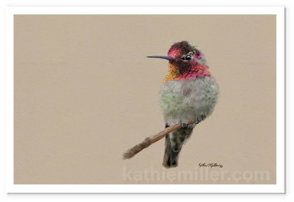 Anna's Hummingbird II painting by wildlife artist Kathie Miller. Prints available. 