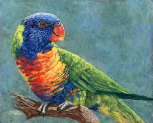 Original 10” x 8” pastel portrait of a rainbow lorikeet by award winning artist Kathie Miller. Contemporary style using bold strokes and bright colors. Prints available.