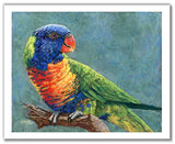 Pastel portrait print of a rainbow lorikeet. Rendered in a contemporary style using bold strokes and bright colors by award winning artist Kathie Miller.