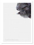Baby Bat painting nursery art by wildlife artist Kathie Miller. Perfect for a nursery or child's room. Prints available. 