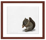 Baby Squirrel painting nursery art with mahogany frame by wildlife artist Kathie Miller. Perfect for a nursery or child's room.