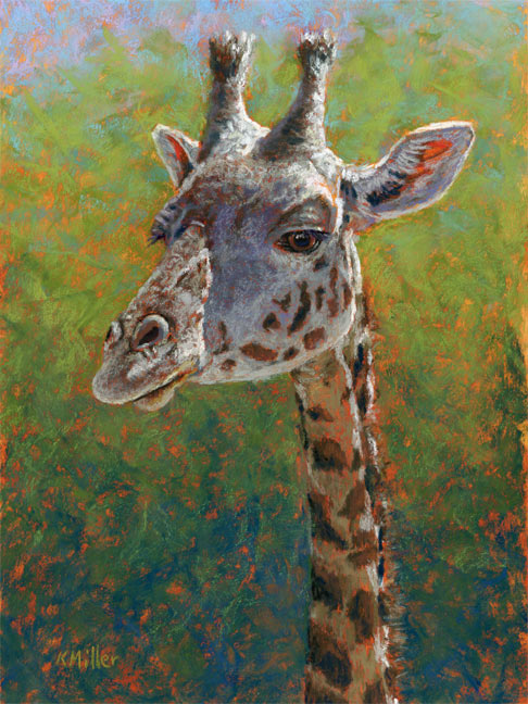 Original 8” x 10” pastel portrait of a giraffe in the morning sun by award winning artist Kathie Miller. Contemporary style using bold strokes and bright colors. Prints available.