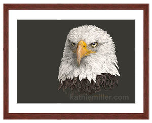 Bald Eagle Portrait Painting with mahogany frame by wildlife artist Kathie Miller. Prints available.