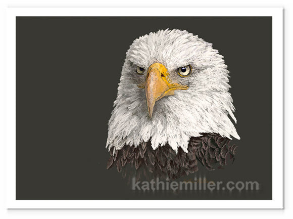 Bald Eagle Portrait Painting by wildlife artist Kathie Miller. Prints available.