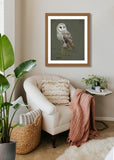 Barn Owl painting by wildlife artist Kathie Miller. Print available.