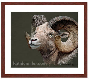Big Horned Sheep portrait painting eith mohogany frame by award winning artist Kathie Miller. Prints available.