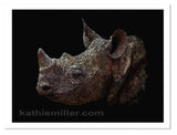 Black Rhino Portrait print by award winning artist Kathie Miller