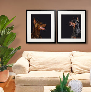  Doberman Portrait painting collection by wildlife artist Kathie Miller. Prints available.