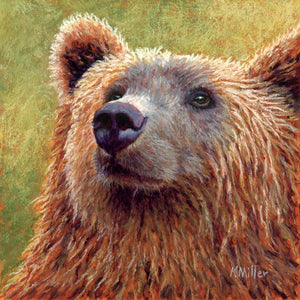 Original 8” x 8” pastel portrait of a brown bear by award winning artist Kathie Miller. Contemporary style using bold strokes and bright colors. Prints available.