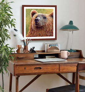 Bruno - Brown Bear | Fine Art Prints