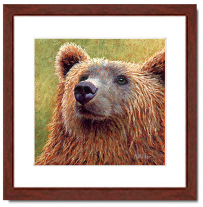 Bruno - Brown Bear | Fine Art Prints