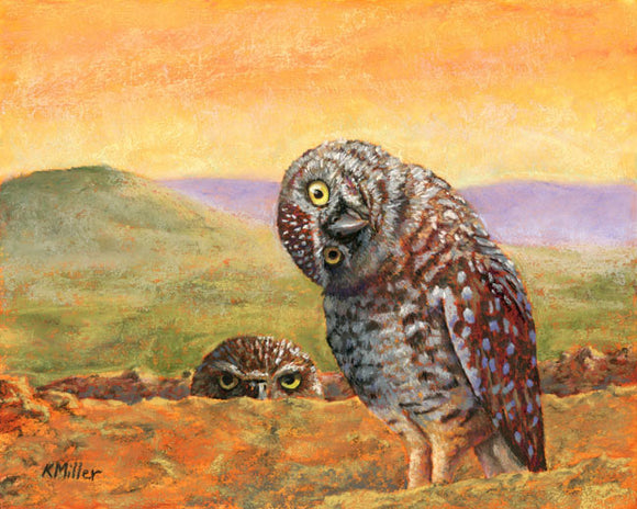 Original 10” x 8” pastel portrait of two burrowing owls at sunset by award winning artist Kathie Miller. Contemporary style using bold strokes and bright colors. Prints available.