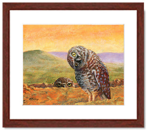 Burrowing Owls at Sunset | Fine Art Prints