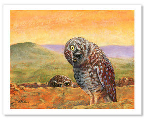 Burrowing Owls at Sunset | Fine Art Prints