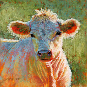 "Buttercup-Jersey Calf " 6” x 6”. Original pastel portrait of a jersey calf in the bright sunshine by award winning artist Kathie Miller. Contemporary style using bold strokes and bright colors. The background is various greens. Prints available.