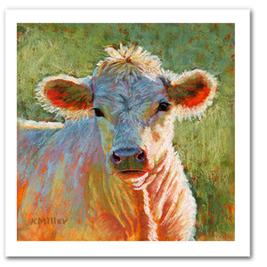 “Buttercup-Jersey Calf” Pastel portrait of a Jersey calf in a contemporary style with pastels using bold strokes and bright colors by award winning artist Kathie Miller.