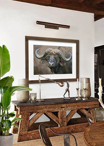 Cape Buffalo painting by award winning artistKathie Miller