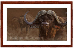 Cape Buffalo painting by award winning artist Kathie Miller. Prints available.