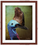 Cassowary Portrait painting with mahogany frame by wildlife artist Kathie Miller.  Prints available. 