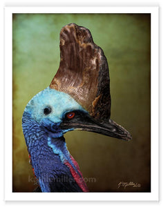 Cassowary Portrait painting by wildlife artist Kathie Miller.  Prints available. 