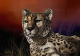 Cheetah Portrait by award winning artist Kathie Miller