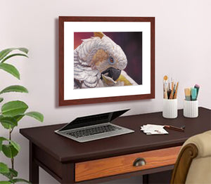Pastel portrait print of a white cockatoo with a mahogany frame and 2: white mat hanging in a home office.Rendered in a contemporary style using bold strokes and bright colors by award winning artist Kathie Miller