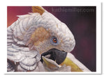 Pastel portrait print of a white cockatoo. Rendered in a contemporary style using bold strokes and bright colors by award winning artist Kathie Miller.