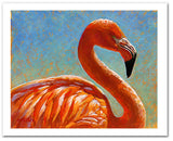 "Cora" Pastel portrait of a  Caribbean flamingo in the bright sun rendered in a contemporary style using bold strokds and bright colors by award winning artist Kathie Miller.