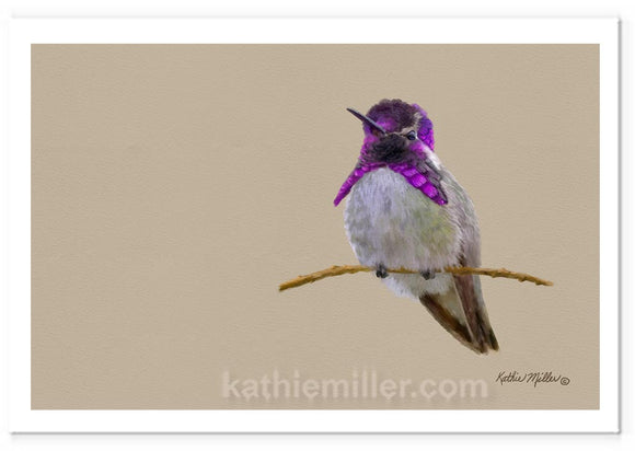 Costa's Hummingbird painting by wildlife artist Kathie Miller. Prints available.