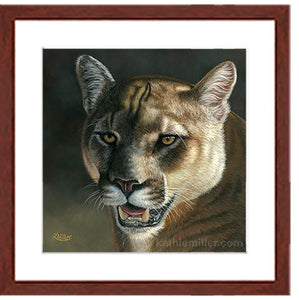 Cougar Portrait II | Fine Art Prints