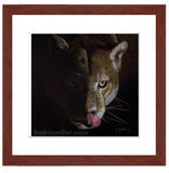 Cougar portrait painting with mohogany frame by award winning artist Kathie Miller. Prints available