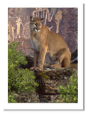 Cougar and the Pictographs painting by award winning artist Kathie Miller. Prints available.