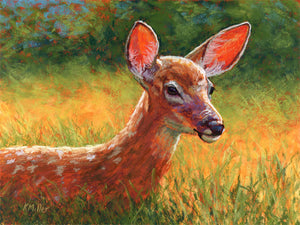 Original 12” x 9” pastel portrait of a fawn lying in the grass in the morning sun by award winning artist Kathie Miller. Contemporary style using bold strokes and bright colors. Prints available.