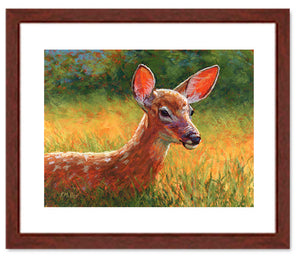Pastel portrait print of a fawn lying in the grass in the morning sun with a wood frame and 2” white mat. Rendered in a contemporary style using bold strokes and bright colors by award winning artist Kathie Miller. 