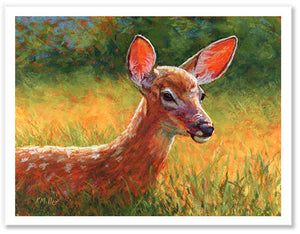 Pastel portrait print of a fawn lying in the grass in the morning sun. Rendered in a contemporary style using bold strokes and bright colors by award winning artist Kathie Miller.