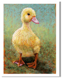 “Daisy-Duckling” Pastel portrait of a little yellow duckling in a contemporary style with pastels using bold strokes and bright colors by award winning artist Kathie Miller.