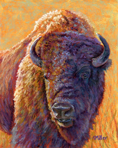 Original 8” x 10” pastel portrait of a bison in the morning light by award winning artist Kathie Miller. Contemporary style using bold strokes and bright colors. Prints available.